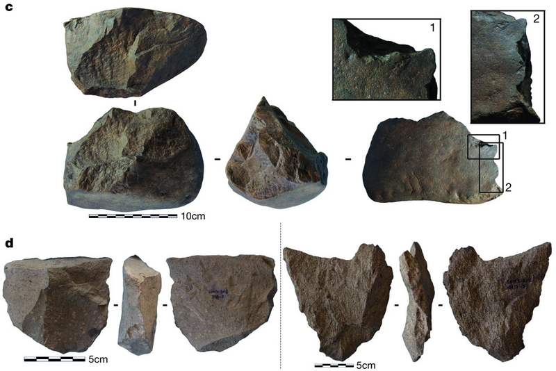 Illustration for article titled The World's Oldest Stone Tools Were Not Made By Humans